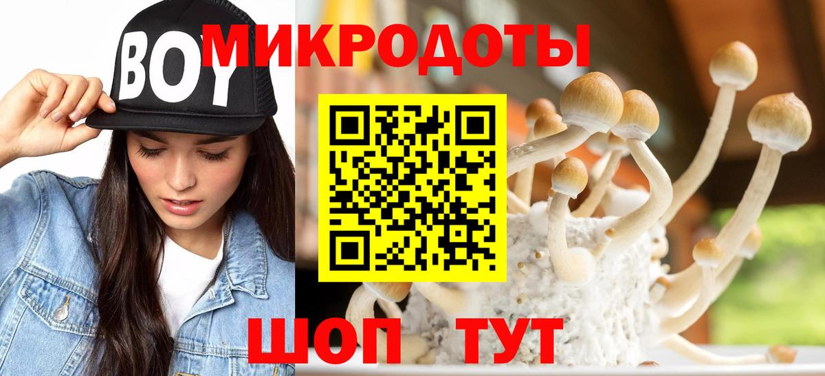 Мелеуз  Галлюциногенные грибы GOLDEN TEACHER  купить  цена  Вход с VPN 